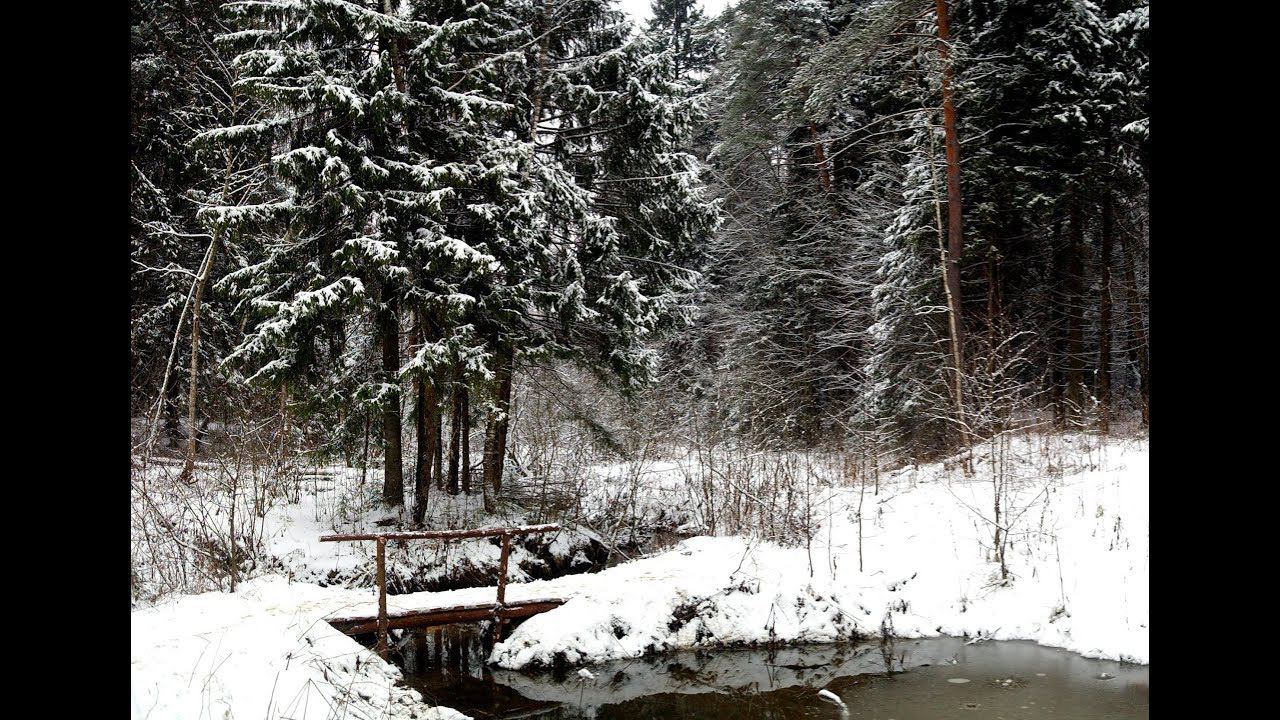Январь 2018. Первый снег! Лес и шашлык. смотреть онлайн