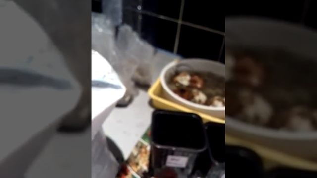 Лилии, что делать с поздно купленными луковичными?! смотреть онлайн