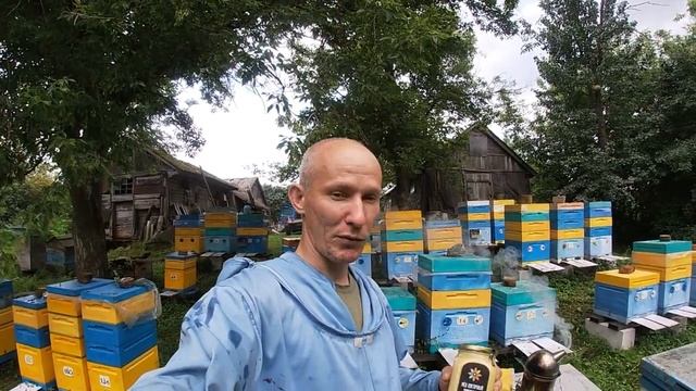 1 августа - Только правильный мёд от пчеловода! смотреть онлайн