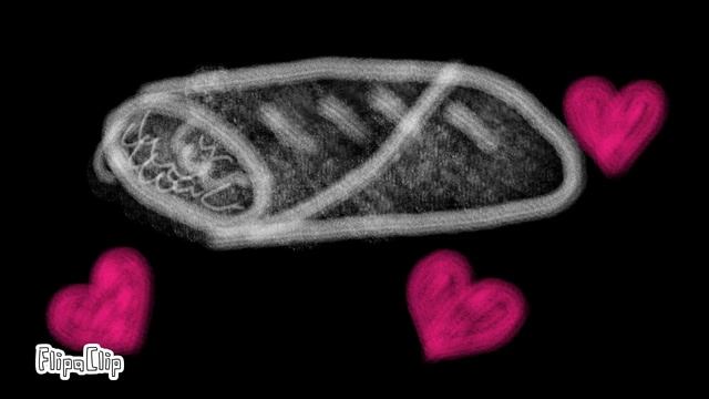 Песня про шаурму| meme| Ахмед смотреть онлайн