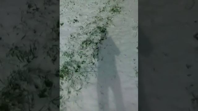 VLOG:в деревне смотреть онлайн