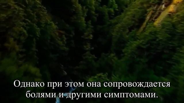 Тошнота – враг аппетита — Статья смотреть онлайн