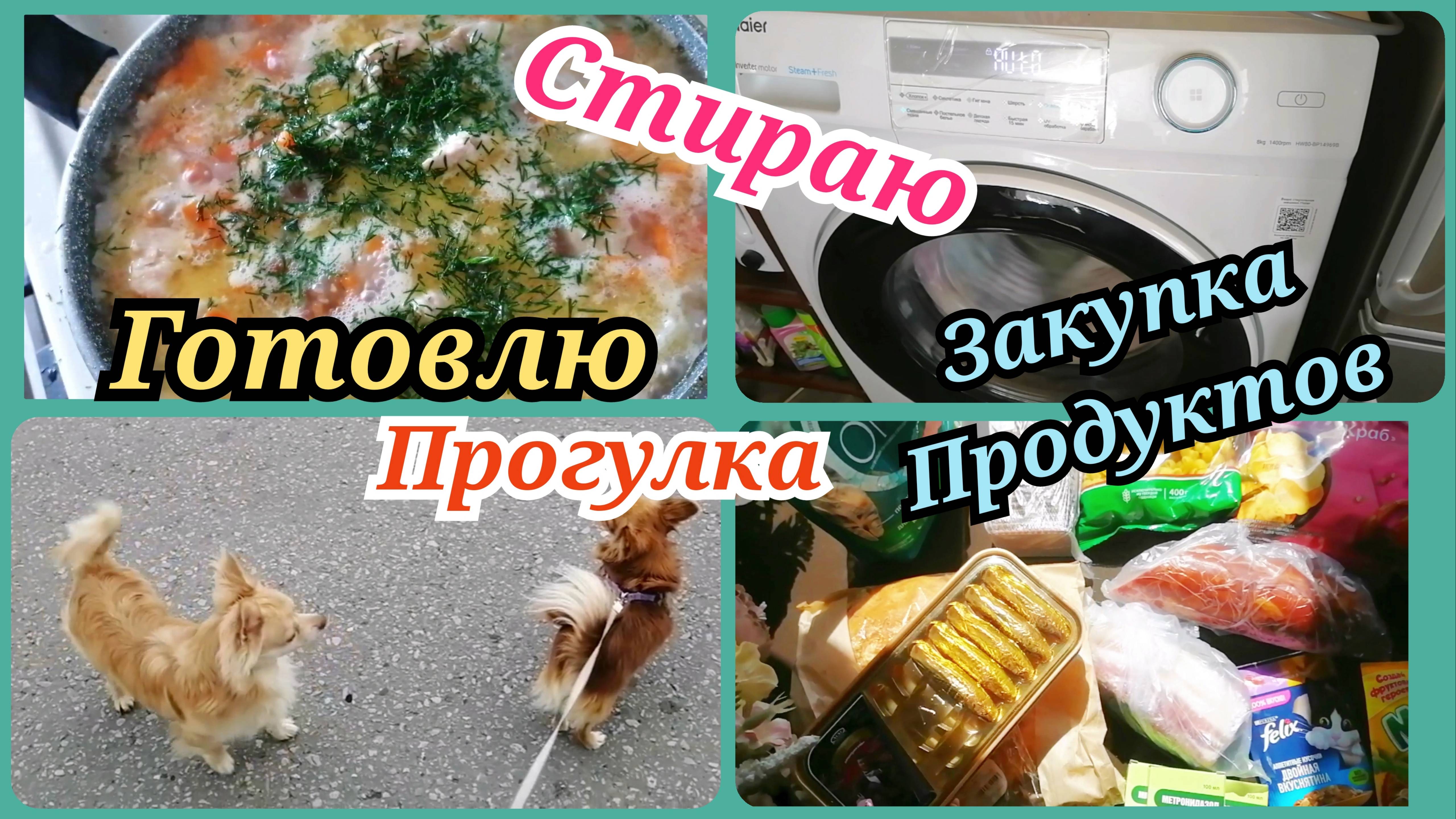 VLOG: ДОМАШНИЕ ДЕЛА.ЗАКУПКА ПРОДУКТОВ .МОЙ ДЕНЬ.МОЯ СОБАКА #уборка #мойдень #будни