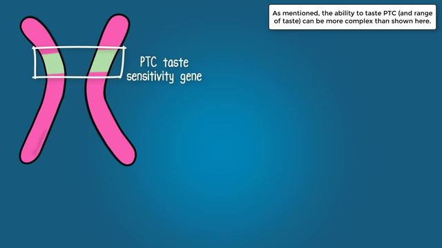 Alleles and Genes смотреть онлайн
