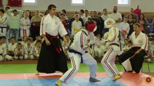 Чемпионат Федерации Косики Каратэ России. Липецк 2016 г.