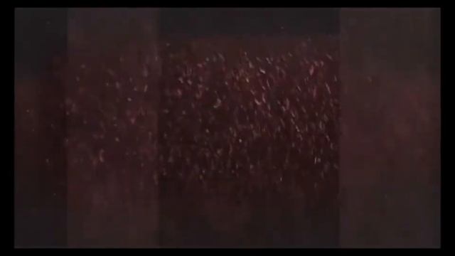 виртуальный обзор НАУКА и УЧЕНЫЕ в художественной литературе смотреть онлайн