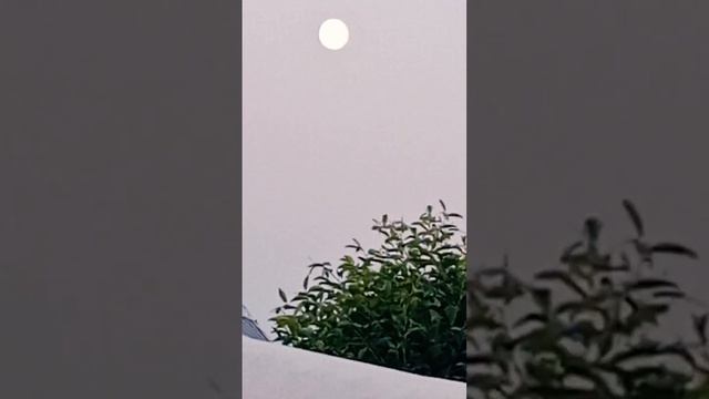 почему Луна жёлтого цвета и низко напишите в ком смотреть онлайн