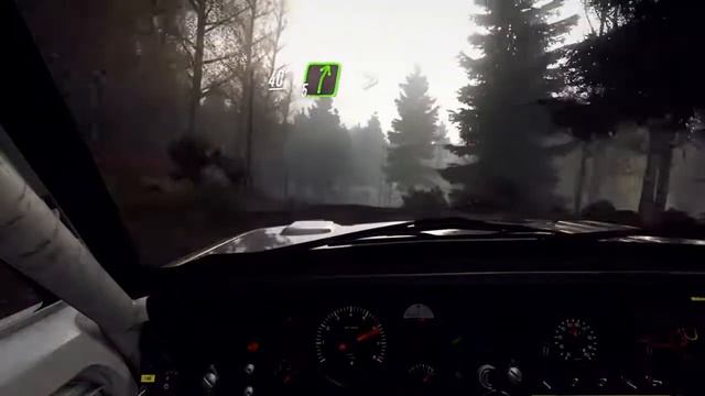 DiRT Rally 2.0Finlandia Opel manta смотреть онлайн