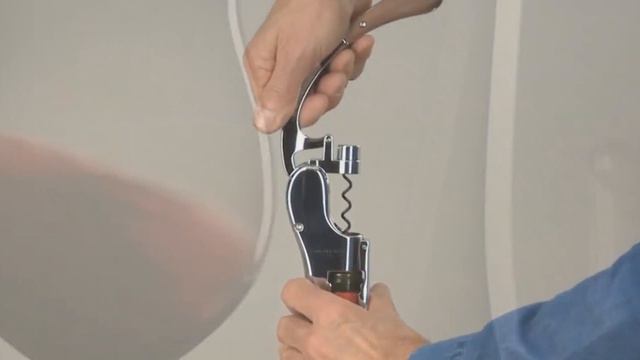 Gordian "wine library" смотреть онлайн