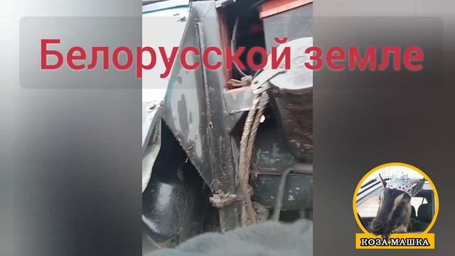 С Новым годом Дорогие подписчики ! смотреть онлайн