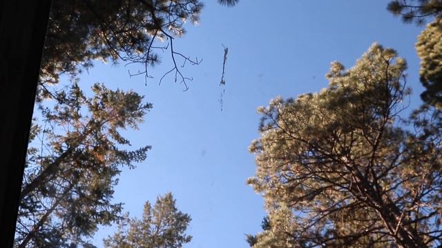 TINY CABIN TOUR! - Our First Off-Grid Living Experience In Arizona Review смотреть онлайн