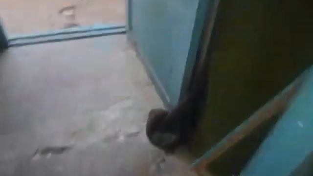 Обзор МЖК(молодёжный жилой комплекс) по адресу улица дружбы 77 2 подъезд город Волжский смотреть онлайн