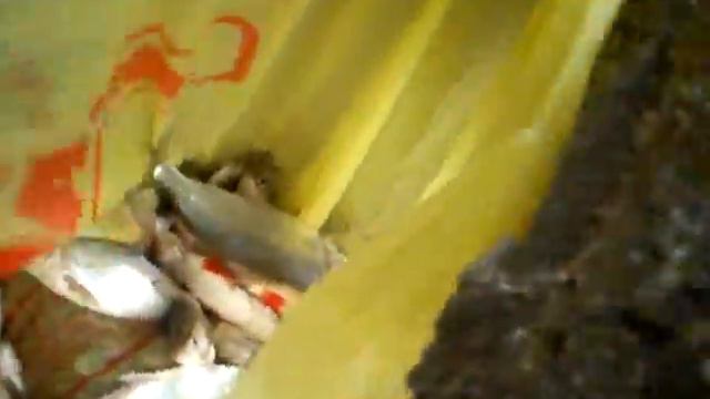 Рыбалка в марте смотреть онлайн