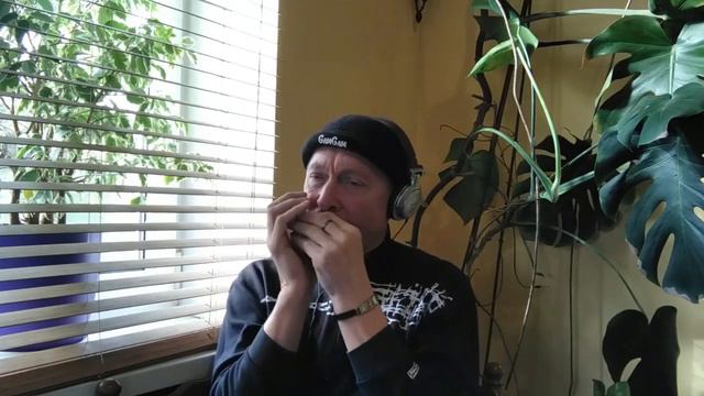 Improvisation in Cm (Indiara Sfair- harmonica cover) смотреть онлайн