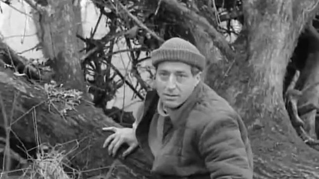 ГДР/DDR - Х/ф Болотная собака (1960)