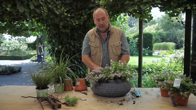 Inspiration mit Campanula Adansa und Oliver Mathys смотреть онлайн