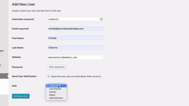 How to add a new user to your Wordpress Website смотреть онлайн