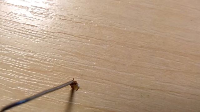 Вырванное жало осы смотреть онлайн