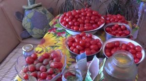 302. Засолка малосолёных помидоров Черри. Вкусный рецепт