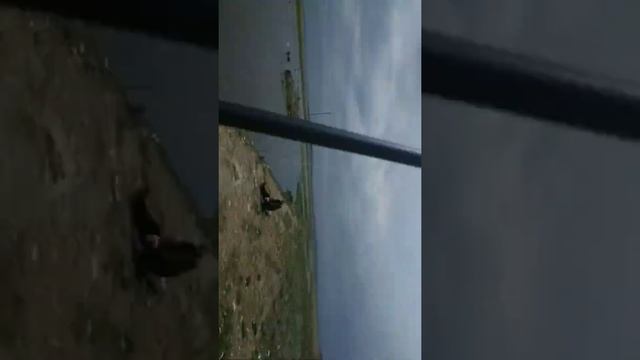 рыбалка на ботакаре трасса карася паймали #балықаулау #карась #ульяновск #рыбалка2022 #ботакаре202 смотреть онлайн