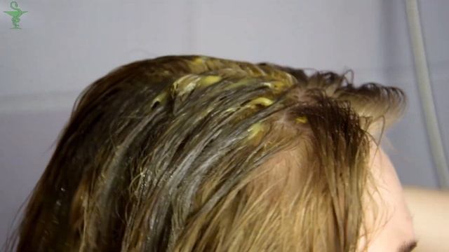 Сильнейшая маска для роста волос, дающая наибольший эффект. Как быстро отрастить волосы смотреть онлайн