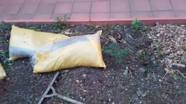 Второй сезон перехода на органическое земледелие. Урожай с органики. смотреть онлайн