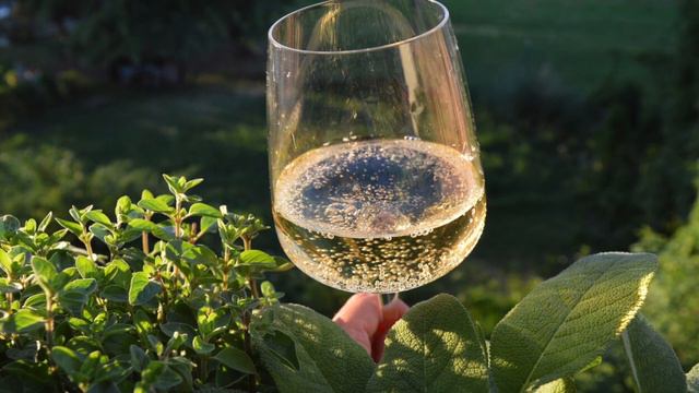 Вионье кусочек лета в бокале Viognier смотреть онлайн