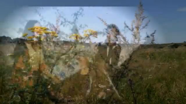 Бахтале Рома, Аня Волошина, "Снова поверила", или "Полынь трава" смотреть онлайн