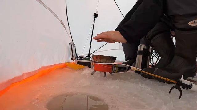 Прямая трансляция с камеры #GoPro смотреть онлайн