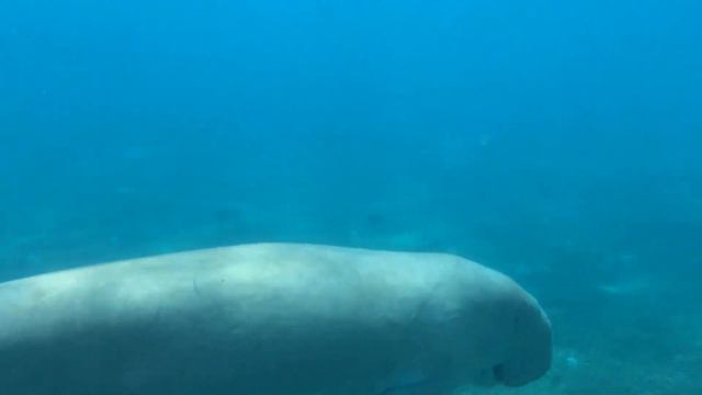 Солнечное море смотреть онлайн