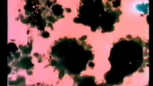 Thomas Brinkmann - Inge 1 vs. Stan Brakhage & Jeff Scher's experimental filmworks смотреть онлайн