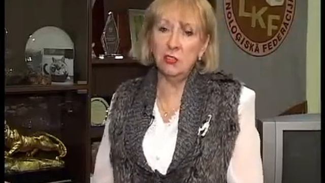 Юбилей клуба ФЕЛИМУР / Felimuram- 25 gadi ! смотреть онлайн