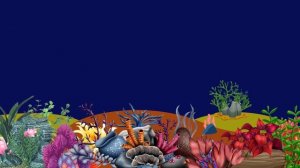 Gentle Bedtime Lullaby and Peaceful Fish Animation Baby Lullaby Mozart . Lullaby for kids