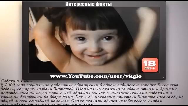 Дети выращенные животными просто невероятно / Интересные факты 2015 смотреть онлайн