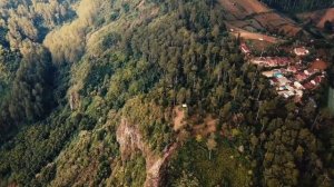 Мишари Рашид аль-Афаси | Рукия от сглаза и колдовства