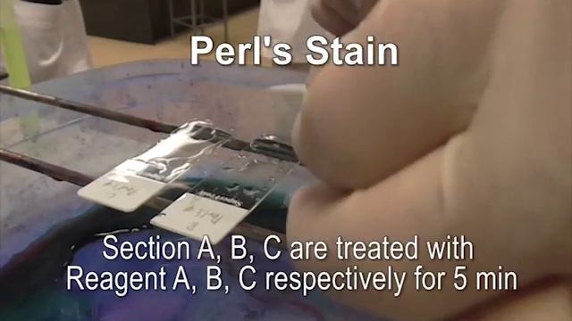 Perl's stain (with sound) смотреть онлайн
