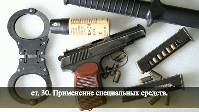 ФСИН. Применение физической силы, спецсредств и оружия. смотреть онлайн
