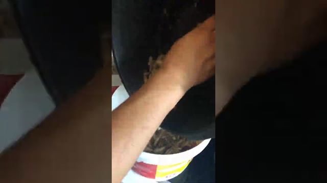 Мариновка шашлыка из баранины с лимоном ! смотреть онлайн