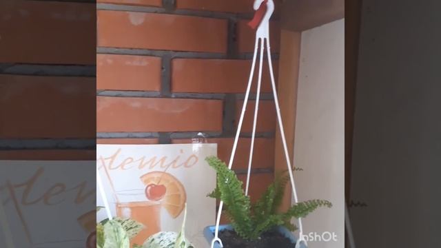 #лоджия #экономияместа #лайфхак Лайфхак.Как расположить растения на лоджии. смотреть онлайн