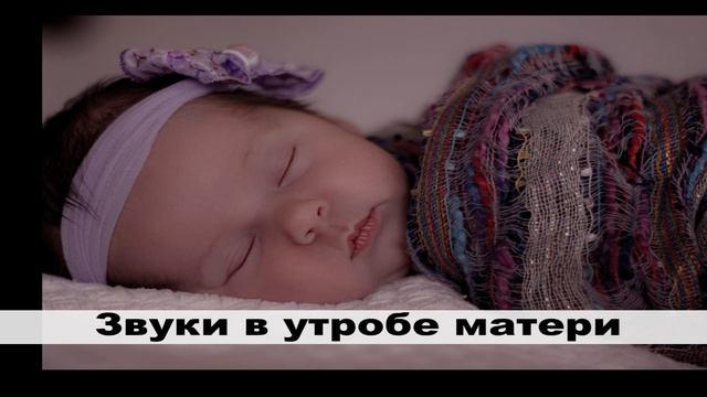 Звуки в утробе матери/белый шум/колыбельная/Sounds In The Womb/white Noise / Lullaby