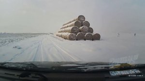 Охота с ягдтерьером на стогах