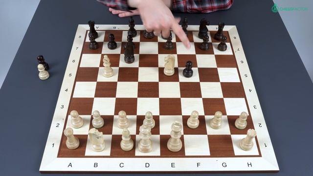 The Colorado Gambit - A surprising Weapon for Blitz and Rapid Games | Gambits | IM Andrey Ostrovski смотреть онлайн