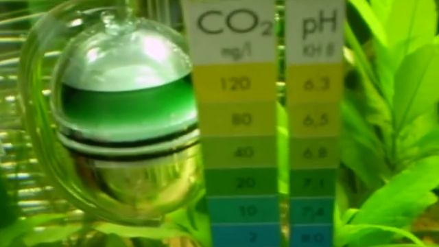 всё пузыряет (сайдекс) смотреть онлайн