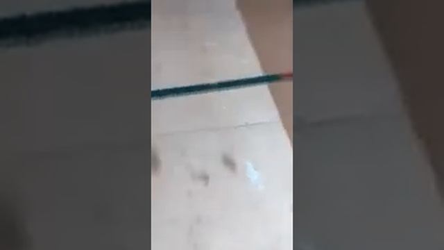 Паркетная доска ч1 смотреть онлайн