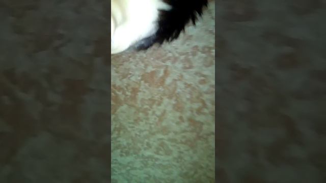 Обматываю себя скотчем смотреть онлайн