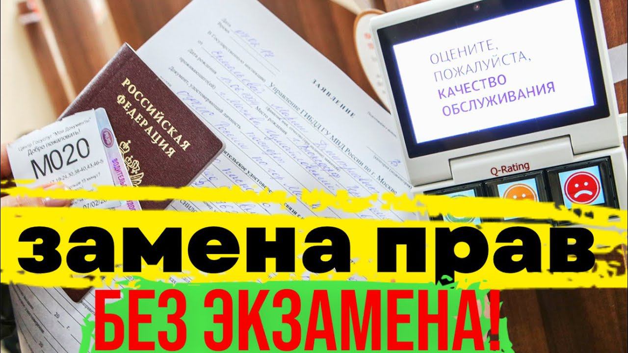 MsGroup - Миграционные услуги