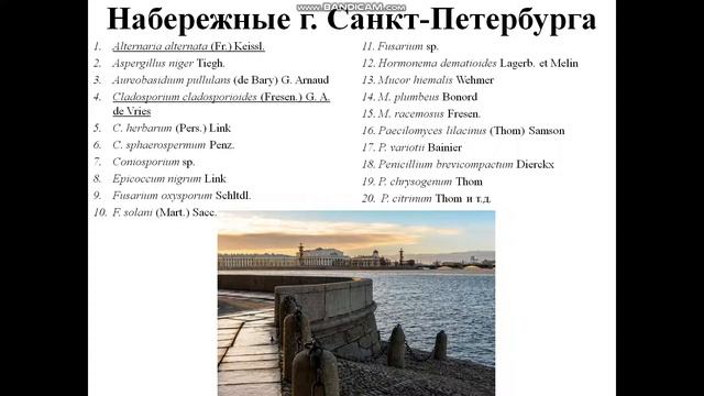 Тема 16. Грибы как агенты биоповреждений. Часть 1 смотреть онлайн