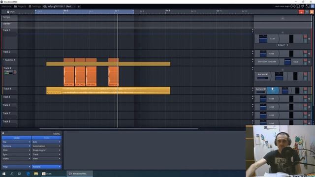 SUNSELL - Traction Waveform Free. Обзор возможностей. Основы работы. смотреть онлайн