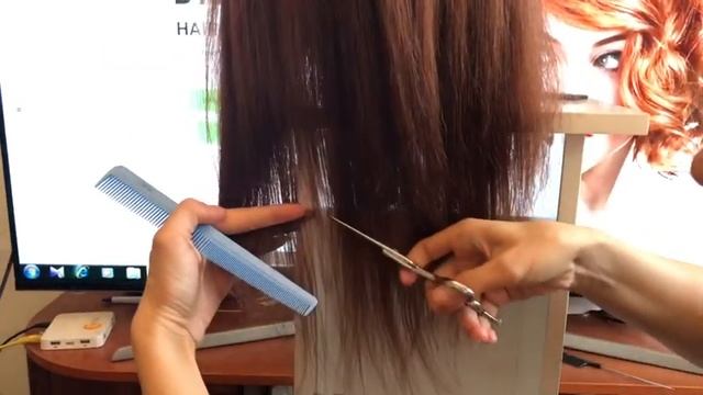 Виды срезов смотреть онлайн