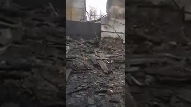 Сгорела школа(1) смотреть онлайн